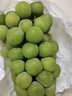 京地达葡萄阳光玫瑰晴王香印青提水果送礼净重2.8斤单果均12g+源头直发 实拍图