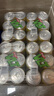 维他奶柠檬茶饮料310ml/罐 vita经典饮品送礼家庭囤货聚餐分享 柠檬味茶饮料310ml 【24罐整箱】 实拍图
