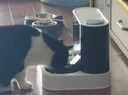 智宙自动喂食器猫咪猫粮水一体猫碗二合一款投喂宠物喝水吃饭定时喂食 灰色豪华-插电活水循环+不锈钢碗 循环活水丨自动喂食丨食品级材质 全身可拆洗丨双重过滤丨密封设计 实拍图