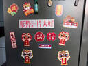 壹居长宁2025年新款蛇年中国风乔迁新居冰箱贴磁贴喜庆 新年富有冰箱贴 实拍图