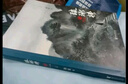 琅琊榜（套装共5册） 实拍图