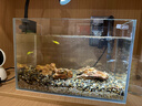 YEE鱼缸金晶超白金鱼裸缸8060家用客厅桌面小草缸龟缸玻璃生态溪流缸 30*17*20*5mm超白玻璃裸缸 实拍图