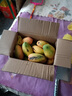 玉芒新鲜现摘热带芒果水果 5斤带箱 实拍图