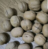 楼兰蜜语【京觅专供】新疆新二薄皮核桃2500g原味核桃纸皮送礼盒坚果零食 实拍图