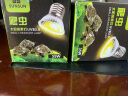 森森（SUNSUN）乌龟灯晒背灯爬虫加热灯泡保温灯全光谱太阳灯养龟用品 原装35W卤素灯泡2个 实拍图