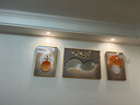 Sixpoetry 客厅装饰画现代简约沙发背景墙壁画轻奢三联晶瓷画大气高档挂画 羽到生财（铝合金外框） 晶瓷画左右40*60+中间80*60亮面 实拍图