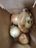 新鲜黄洋葱黄金水果洋葱即食蔬菜调料烧烤食材 新鲜黄洋葱 4斤 含箱 实拍图