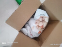 西域华腾新疆特产酸奶巴旦木500g 独立包装奶酪杏仁坚果干果休闲零食 实拍图