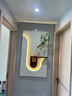 玄关挂画正对入户门装饰画绿植水培立体砂岩壁画LED灯光餐厅挂画A 奶白咖啡色 底板尺寸80-140 手工砂岩+水培玻璃瓶+仿真绿植 感应开关+接线款（直接家用电源）单色暖光 实拍图