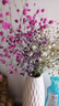 爱满（AIMAN）满天星天然干花花束ins网红生日 新房装饰摆件风干真插花家居摆设 白+紫+桃红满天星  【不带花瓶】 实拍图