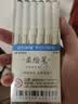 点石 柔绘笔重点标记笔软头马克笔彩绘brush手账笔书法小楷秀丽笔绘画开学季827S古城色-凉州-6色套装 实拍图