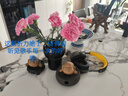 森海塞尔（Sennheiser）【政府补贴】MOMENTUM 4 无线耳机 80周年纪念版 蓝牙头戴耳机 大馒头4主动降噪音乐耳机 双11推荐 实拍图