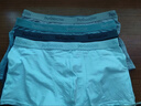 猫人【薄荷凉感10A抑菌】男士内裤男冰丝含蚕丝内档平角裤4条25年新品 实拍图
