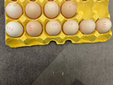 京喜加 谷物喂养初产新鲜鸡蛋40g正负5g生鲜超市买菜早餐土鸡蛋草鸡蛋 10枚富硒鸡蛋50g 实拍图