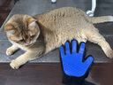 憨憨乐园宠物狗狗猫咪梳子撸毛手套洗澡刷神器猫毛狗毛去浮毛按摩用品1双 实拍图