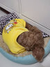 嬉皮狗（hipidog） 狗狗衣服秋冬季泰迪衣服小型犬保暖打底衫防掉毛比熊幼犬衣服 黄色条纹 L (建议体重8-12斤) 实拍图