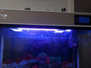 森森鱼缸专用T8 变色LED三基色七彩照明灯管水族箱 草缸造景变色LED灯 60cm针插红色 11W（无电源线） 实拍图