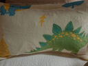 博洋家纺全棉大豆纤维枕头儿童卡通刺绣纯棉软枕芯单只装30*50+3cm 实拍图