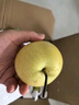 京鲜生 河北青翠蜜梨 净重3斤 单果220g+ 青皇冠梨 生鲜水果 源头直发 实拍图