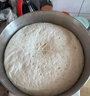 扬子和面机家用揉面机厨师机全自动搅面机多功能智能面包面粉搅拌机大容量活面机面包机打蛋器面条机 【5L旗舰款】快速出膜 恒温发酵 5L 实拍图