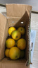 壹棵弘芯正宗高山脐橙橙子应季新果时令湖北新鲜水果手剥橙子生鲜整箱 特选5斤超值家庭装 净重约为4斤+ 实拍图