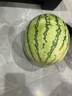 甜果源  西周哈密瓜海南甜网纹蜜瓜时令应季热带水果新鲜水果送礼盒品 5斤【甄选精品礼盒装】 实拍图