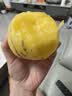 布丁哈鲁【100%棉】女童盐系泡泡袖小衫夏季新款中大童百搭甜美碎花衬衫潮 实拍图