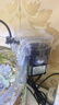 燕之雁 鱼缸过滤器 低噪音循环过滤泵 外挂瀑布过滤器 除油膜款 实拍图