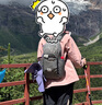 挪客Naturehike折叠双肩包轻量化登山包便携防水户外徒步皮肤包 灰色/22L【防水指数2000+】 实拍图