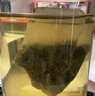 立顿（Lipton）茗闲情活绿原叶茶包 办公室商业待客休闲下午茶36X2.5g 实拍图