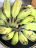 新鲜现摘香蕉小米蕉青皮发货放熟吃新鲜水果 小米蕉 5斤 实拍图