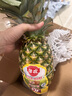 佳农凤梨水果新鲜2个果削皮即食sw菲律宾进口凤梨新鲜水果顺丰 【中大果】单颗约1050g*2颗 实拍图