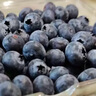 怡颗莓【新鲜优选】进口秘鲁蓝莓 新鲜蓝莓 生鲜水果 蓝莓大果125g*4盒（20mm+） 实拍图
