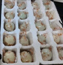 【热销百万单】正宗咸鸭蛋50g/枚饱满流油生鲜超市早餐新鲜即食 30枚（三胎家庭装） 实拍图