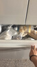 海尔（Haier）冰箱出品统帅玉脂白系列466L法式多门家用母婴冰箱一级能效BCD-466WGLFD79M9U1售完即止只退不换 实拍图