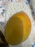 【顺丰空运 48小时内发】新鲜鸡蛋果 海南蛋黄果 狮头果热带水果 精选大果 单果200-350g 500g 实拍图