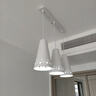 雷士（NVC）LED餐吊灯餐厅吧台灯具现代简约 白色餐吊 NDBD03A/2-005 实拍图