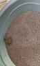 比亿奇猫砂膨润土无尘除臭猫砂多香味快速结团猫沙10kg猫咪用品 【囤货】矿砂混合宝格白茶40斤 实拍图