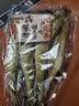 鑫味明 延边明太鱼干 海鲜干货宣板手撕鱼干延边特产晾晒海鱼干下酒菜 【鑫味明太鱼大中3条装*1袋】 实拍图