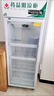 博津 药品阴凉柜冷藏柜医用冰箱药店展示柜立式冰箱医院诊所GSP认证药品柜 260L单门 阴凉/冷藏双模式 实拍图