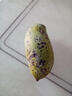 甜萌果蔬芒果金煌芒水仙芒果青皮大芒果甜心芒海南新鲜水果次日孕妇达送礼 星耀级｜单果400g+【精品果】 3斤装【尝鲜贵运费】净2.5斤 实拍图