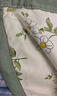 九洲鹿A类抗菌可机洗纤维被子被芯 空调四季被150x200cm森系小清新 实拍图