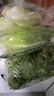千牛优福芝麻菜250g-500g 新鲜蔬菜沙拉食材 生菜 西餐 火箭菜 新鲜芝麻菜500g 实拍图