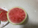 京营觅选麒麟西瓜 现摘新鲜美都西瓜【JD顺丰-送货上门】头茬冰糖西瓜 1个装 【单果4-5斤】防摔包装 实拍图