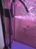 森森（SUNSUN）多功能潜水泵鱼缸上滤用增氧小型水族箱抽水泵三合一过滤器水泵 25W三合一（抽水/增氧/造浪） 实拍图