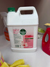 滴露（Dettol）洗手液补充装大桶消毒滋润5L 儿童家庭装杀菌护手 实拍图