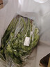 【山野寻鲜】芝麻菜150g 实拍图