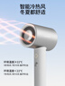 直白负离子吹风机低音护发大风力速干便携家用电吹风智能温控大功率恒温吹风筒生日礼物HL340pro银色 实拍图