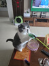 疯狂的主人 猫抓板窝超大号圆形不掉屑耐磨一体猫窝磨爪猫咪玩具 实拍图