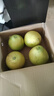 趣觅鲜南康甜柚早熟柚子江西赣南特产新鲜水果正宗斋婆柚子 9斤带箱大果 实拍图
